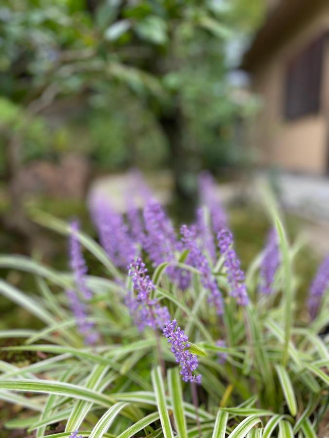 Ryokan Genhouin Kyoto Exterior foto